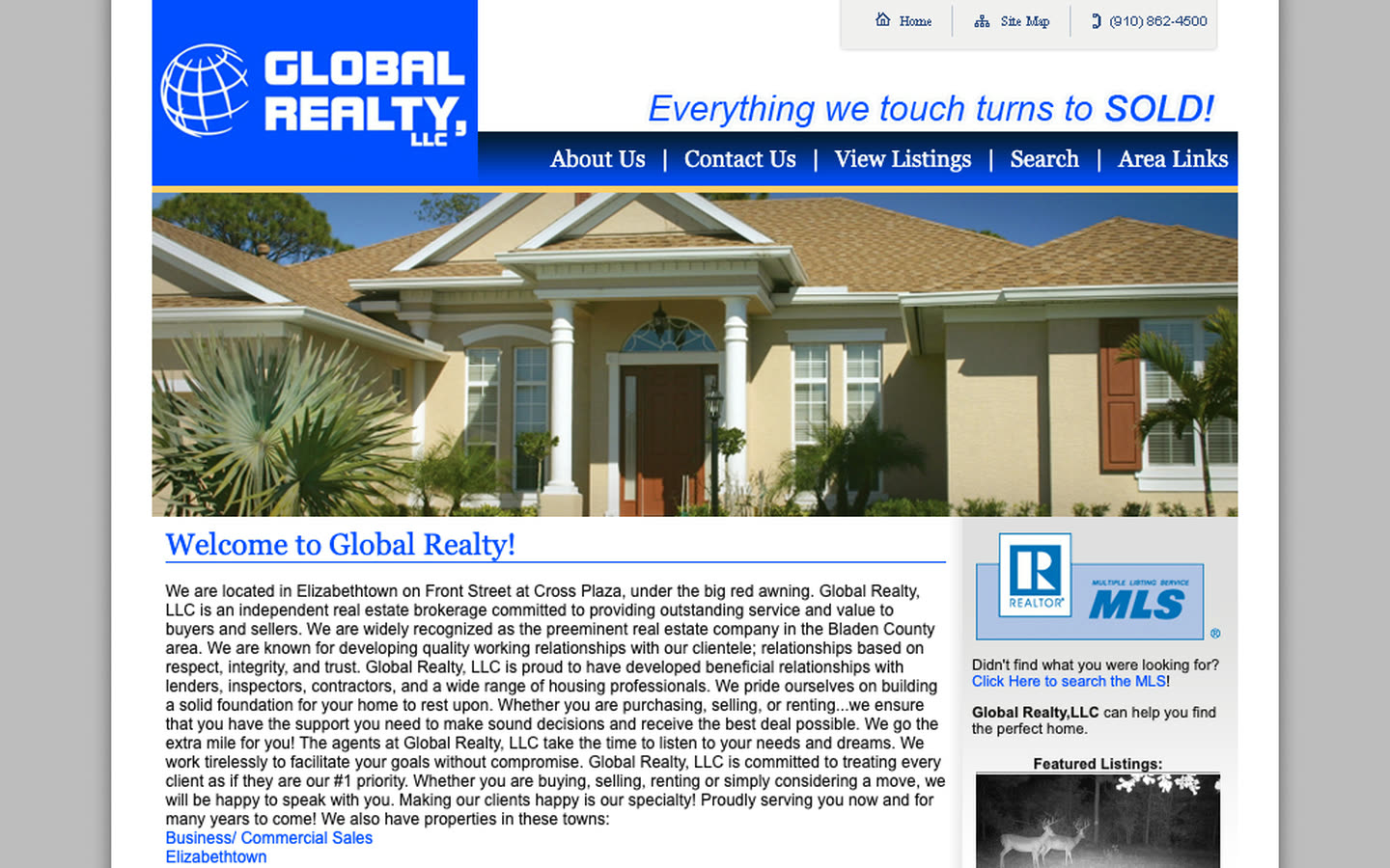 Before: the original 2009 Global Realty website
